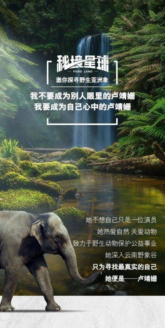 画线进洞